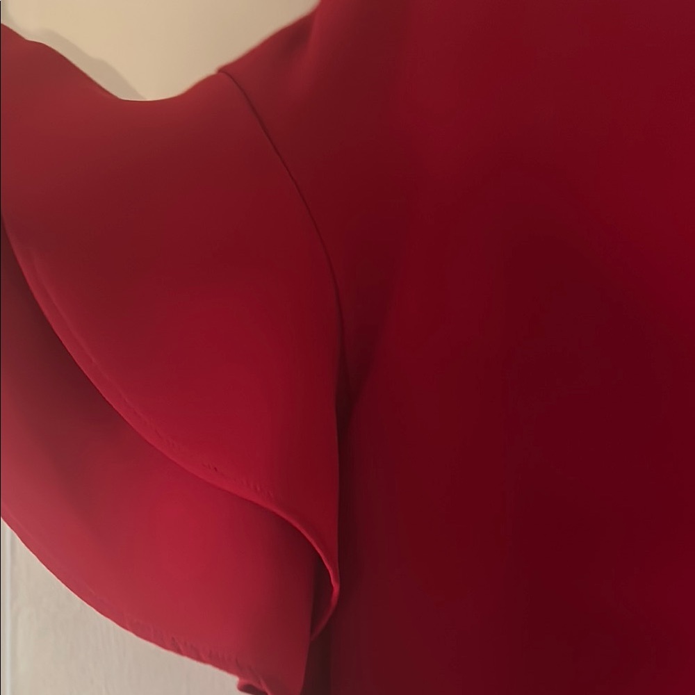 Red V-Neck Dress with Ruffle Sleeves - Picture 2 of 3